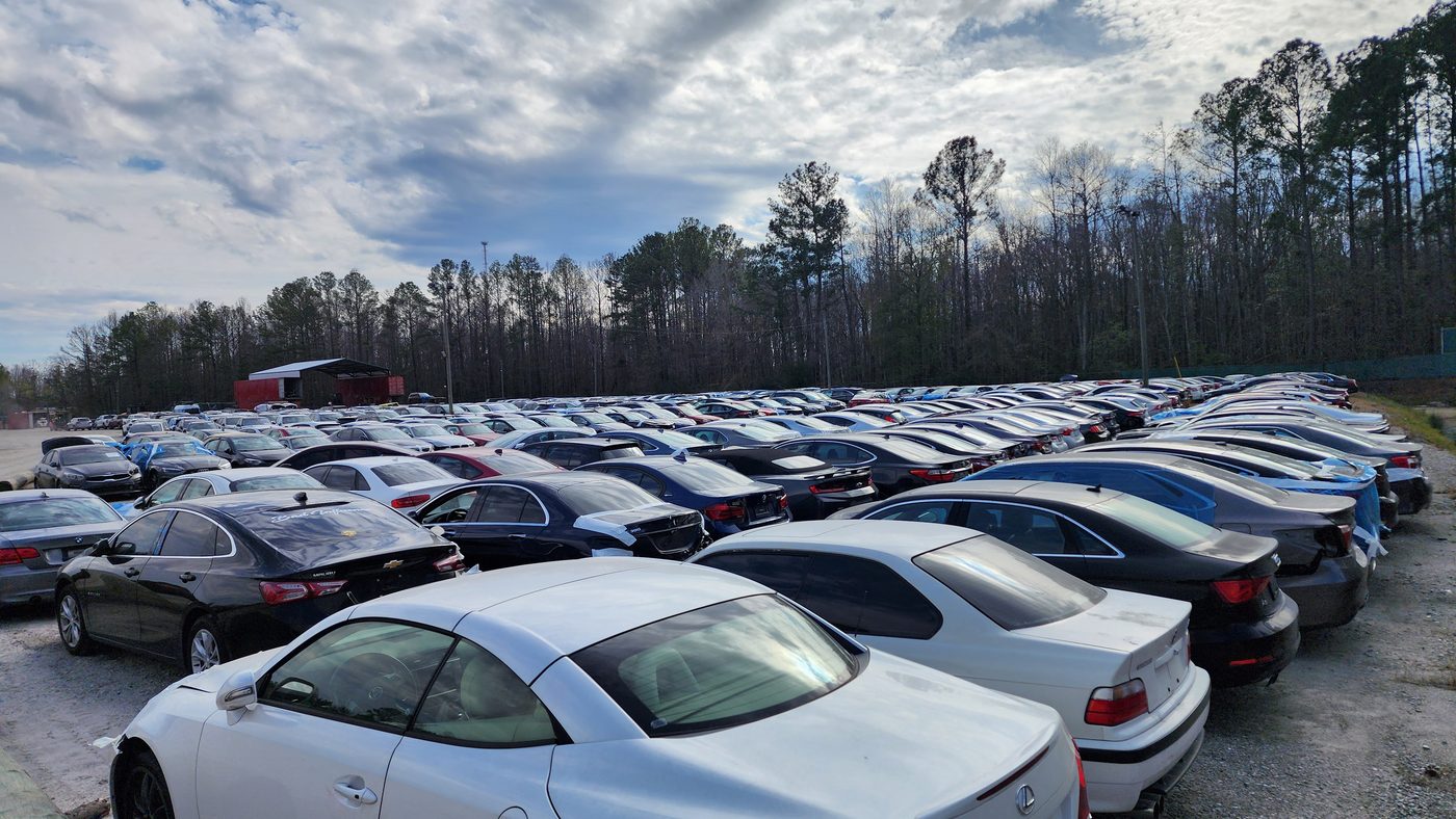 Auction cars staged for export at the Cassandra Logistics yard