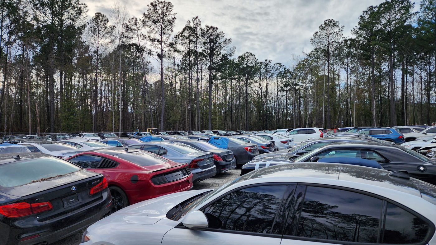 Row of auction-won vehicles awaiting export